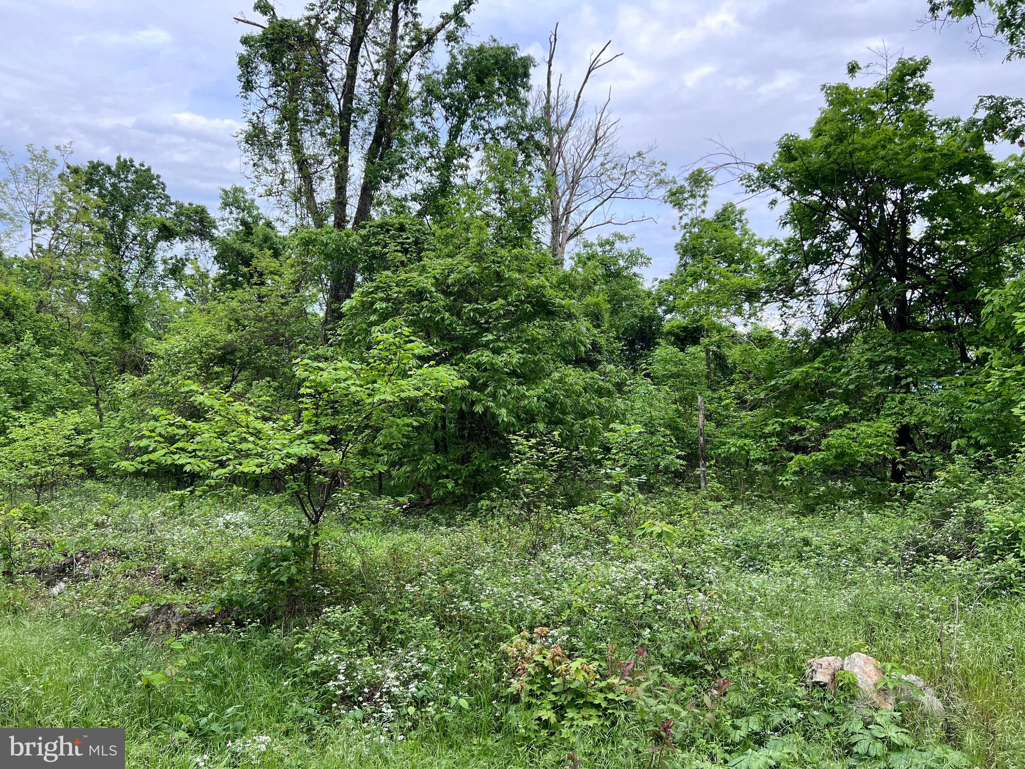 QUAINT HILLS MOUNTAIN SECTION - Land