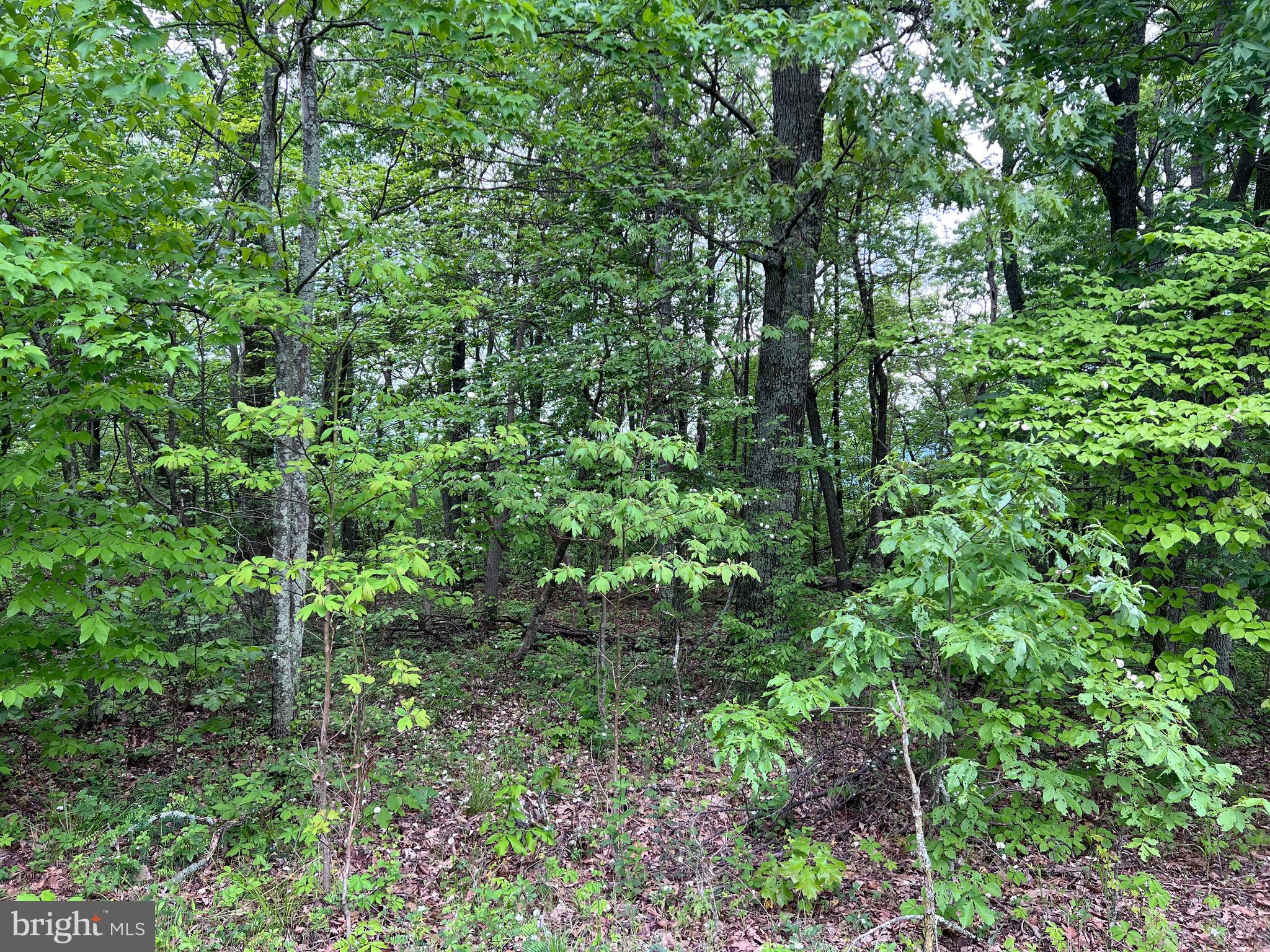 QUAINT HILLS MOUNTAIN SECTION - Land