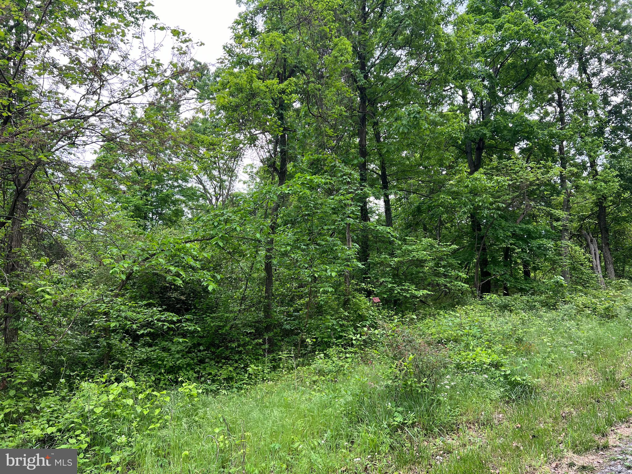 QUAINT HILLS MOUNTAIN SECTION - Land