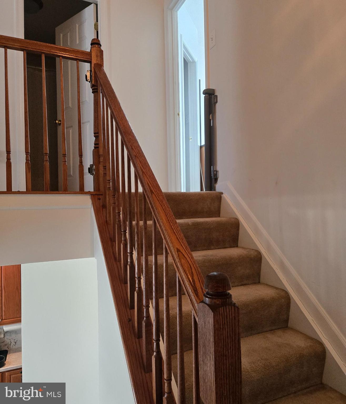 HOLLY WOODS - Residential