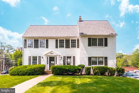 301 PARK AVENUE FALLS CHURCH VA 22046