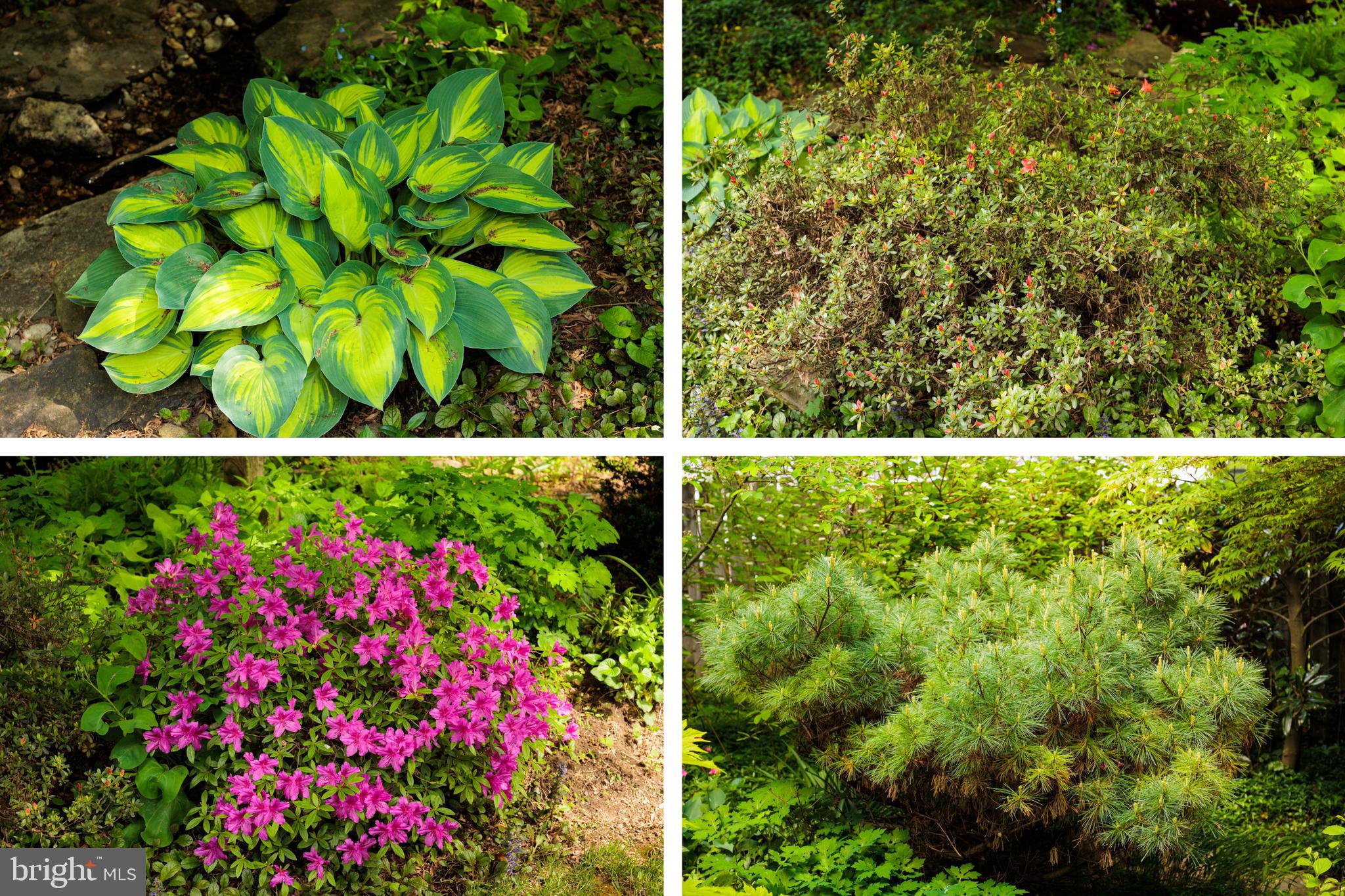 HAMILTON HEIGHTS - Residential