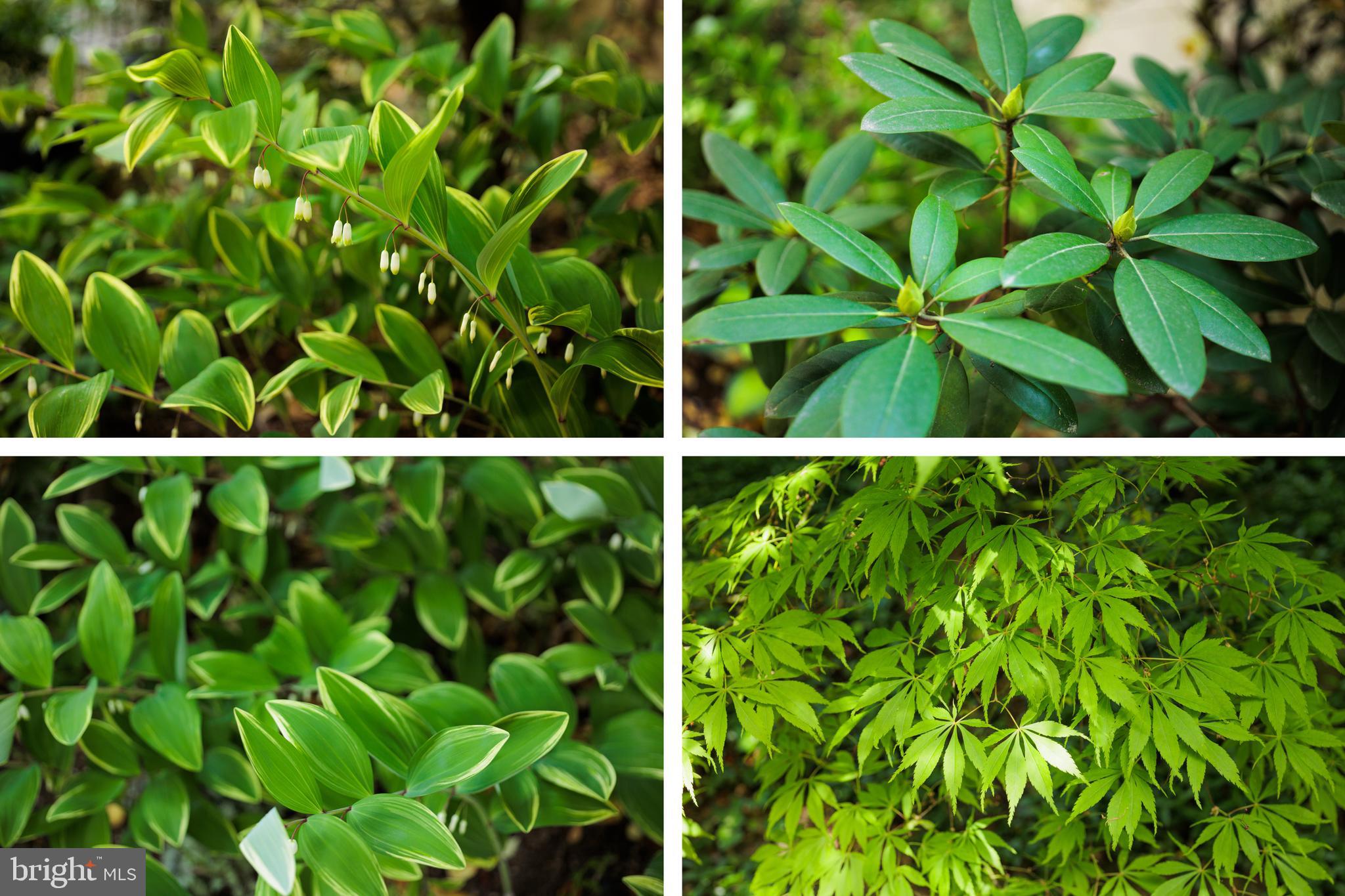 HAMILTON HEIGHTS - Residential