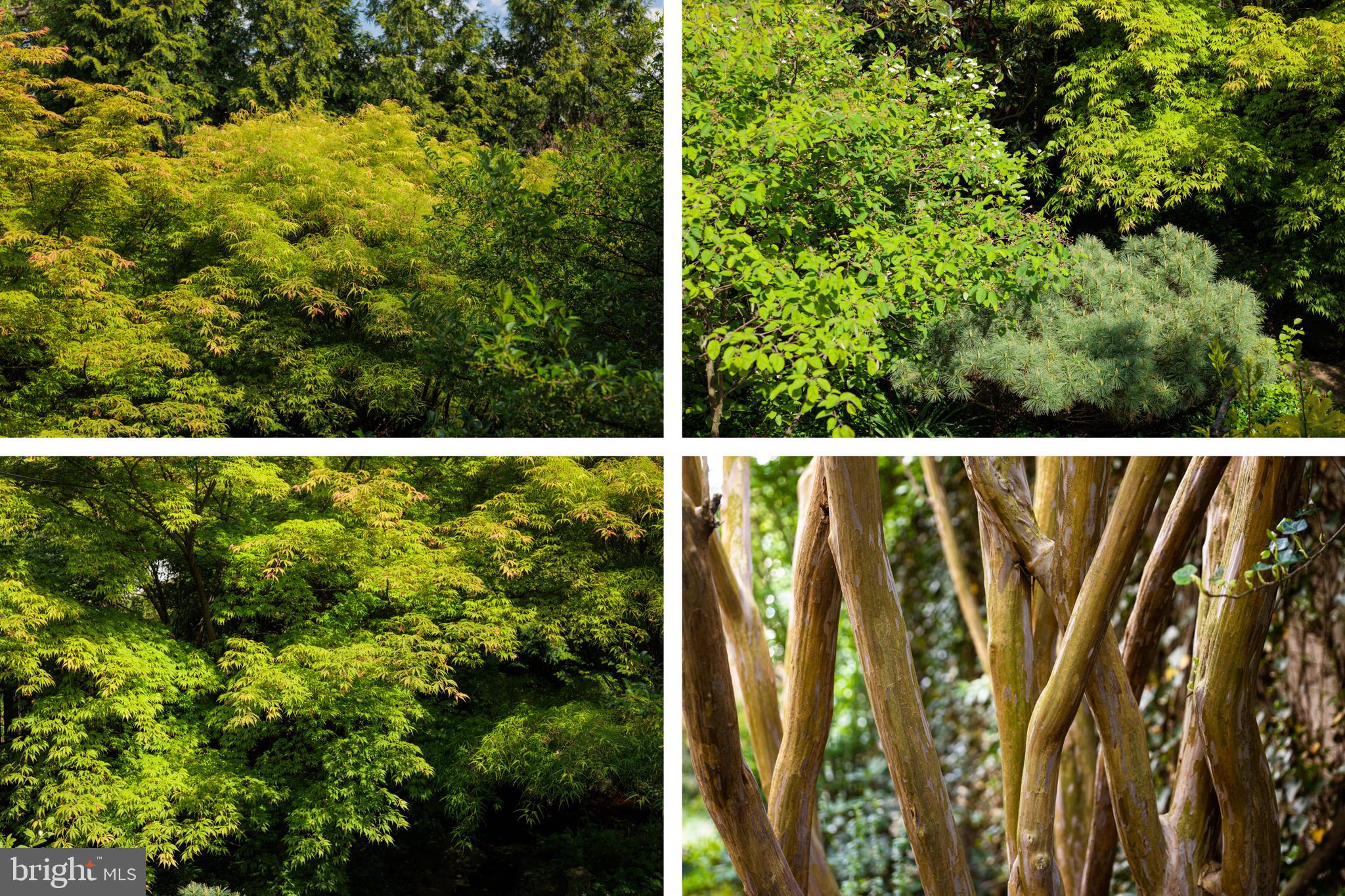 HAMILTON HEIGHTS - Residential