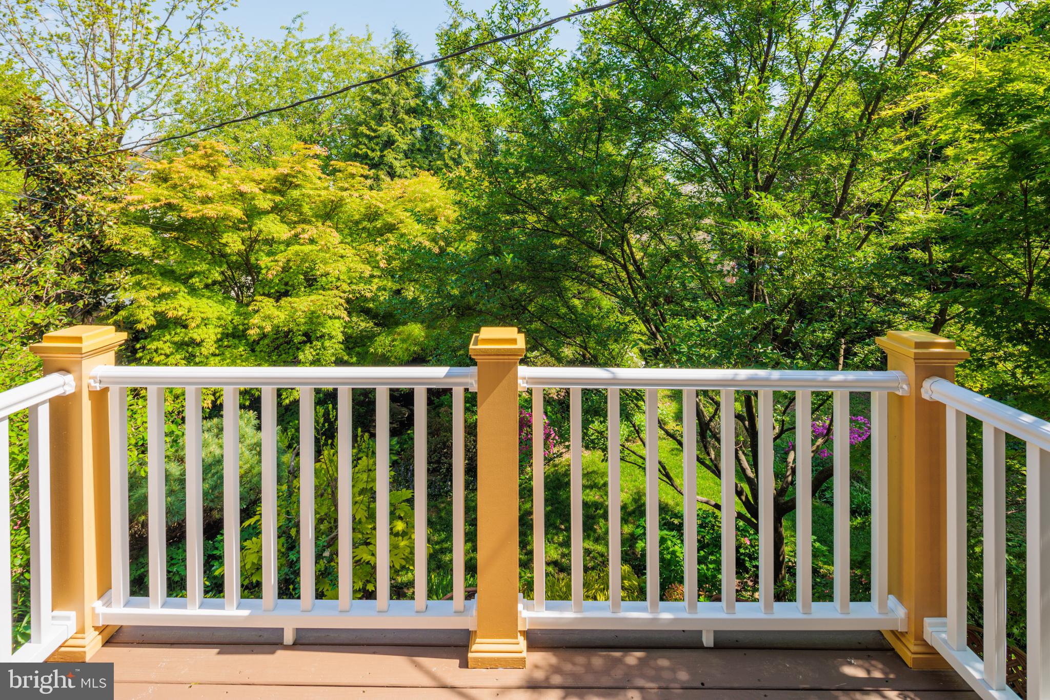 HAMILTON HEIGHTS - Residential