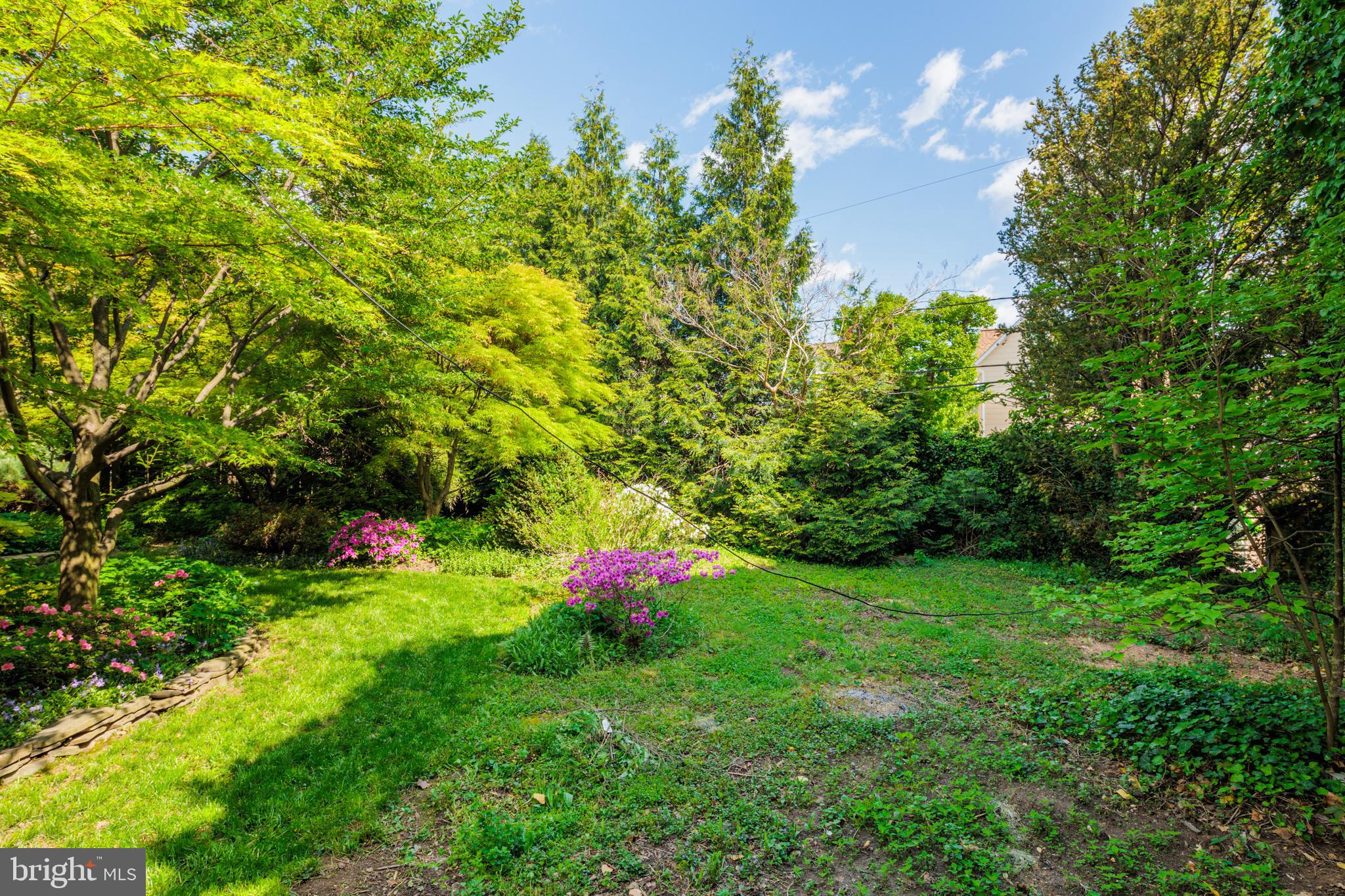 HAMILTON HEIGHTS - Residential