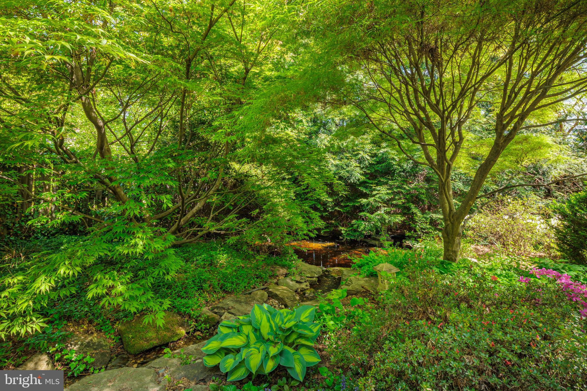 HAMILTON HEIGHTS - Residential