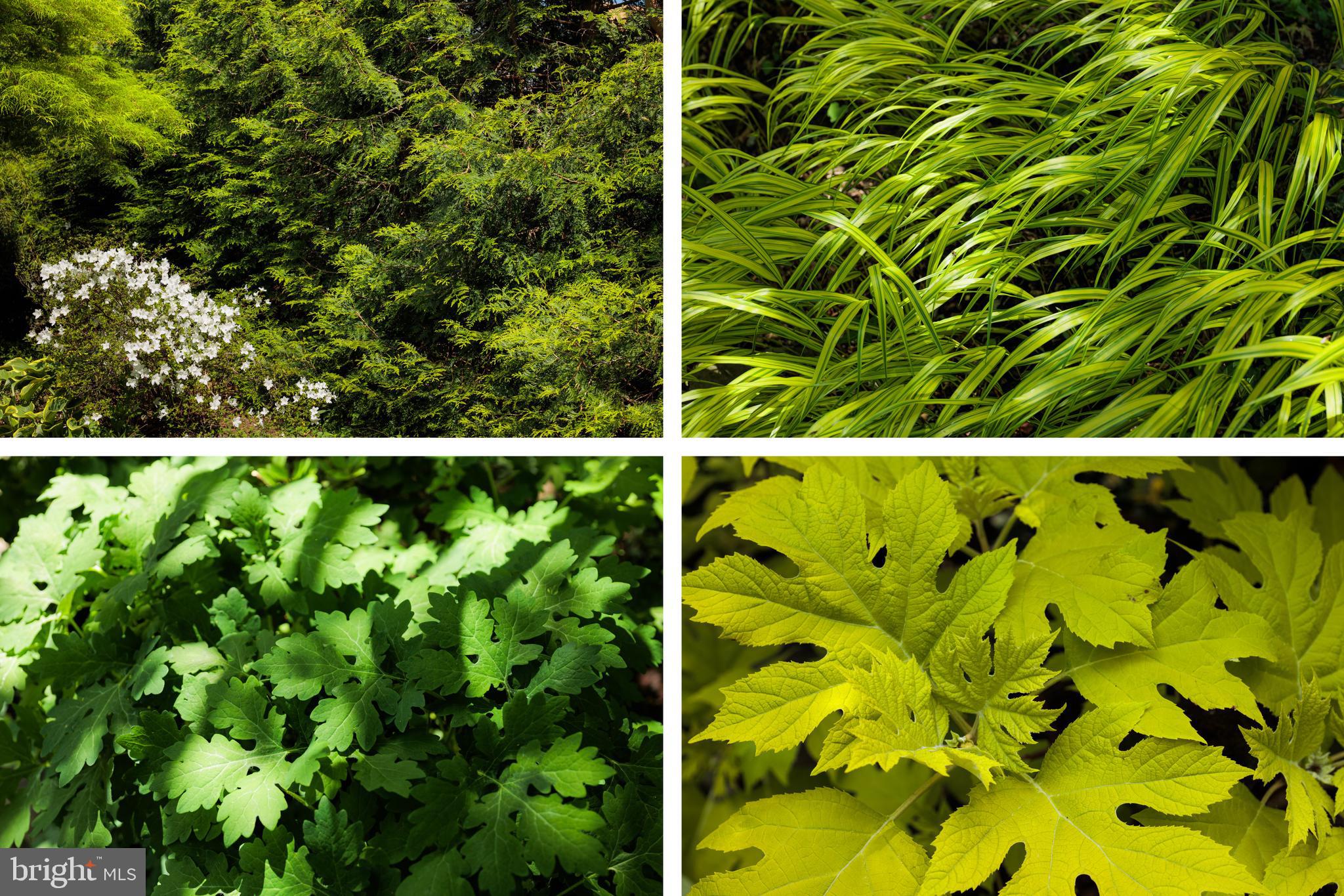 HAMILTON HEIGHTS - Residential