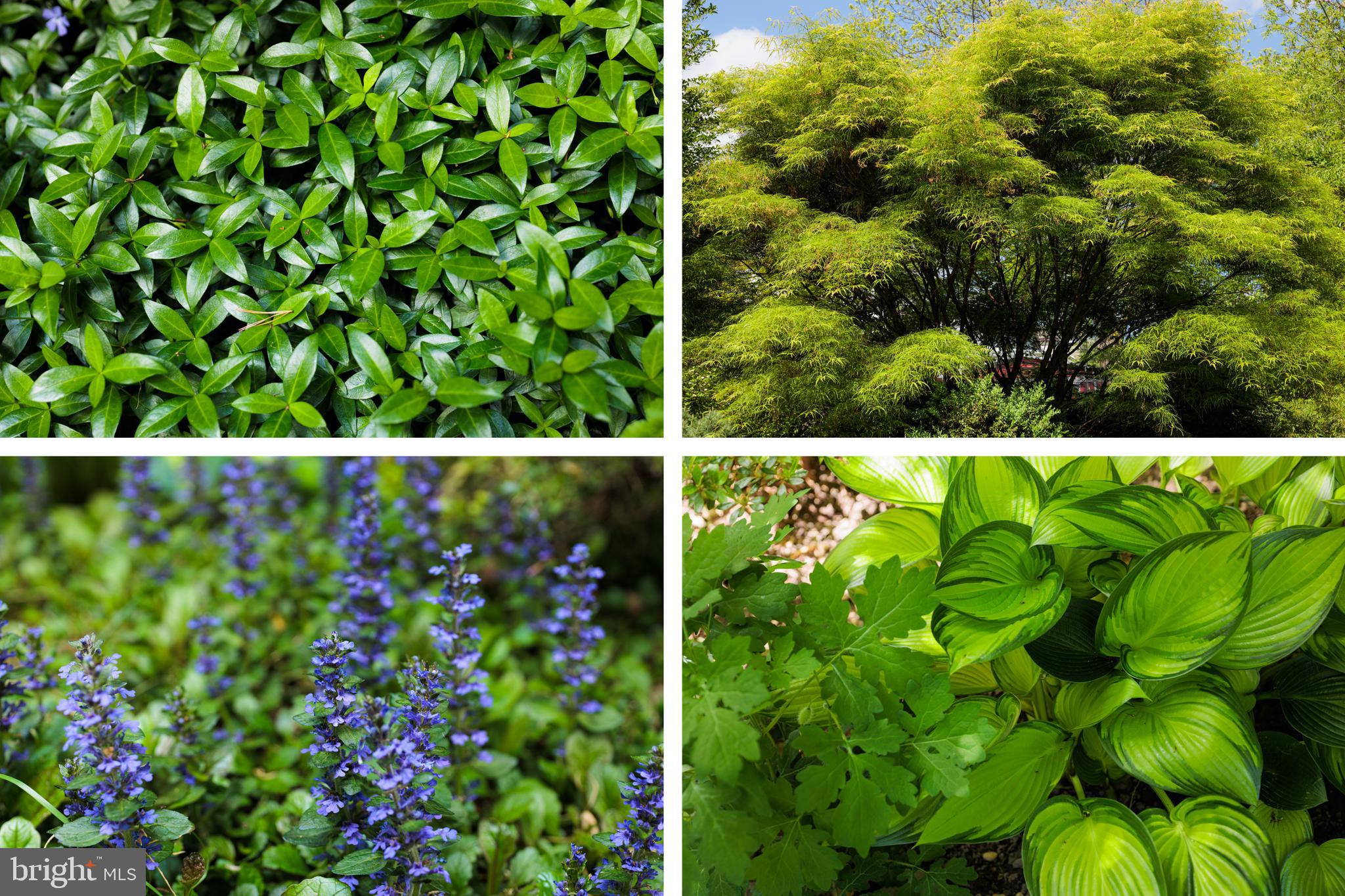 HAMILTON HEIGHTS - Residential