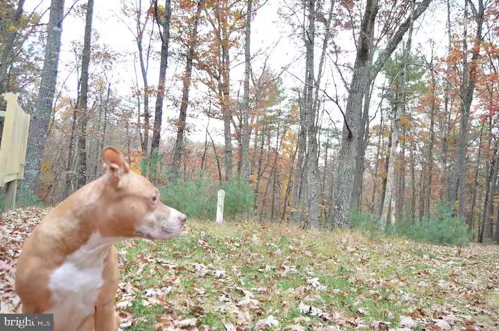 FALLBUSH MOUNTAIN ESTATES - Residential