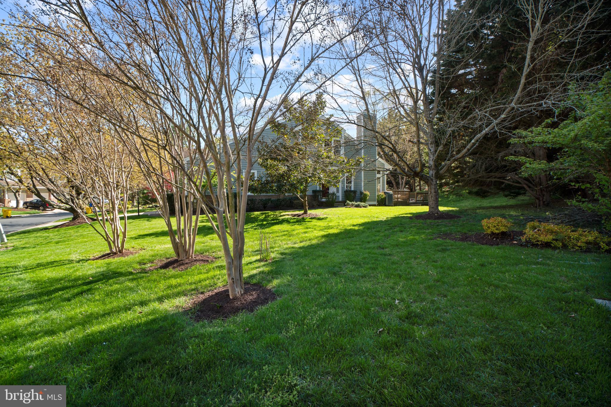 RIVA TRACE/SPRING PLACE - Residential