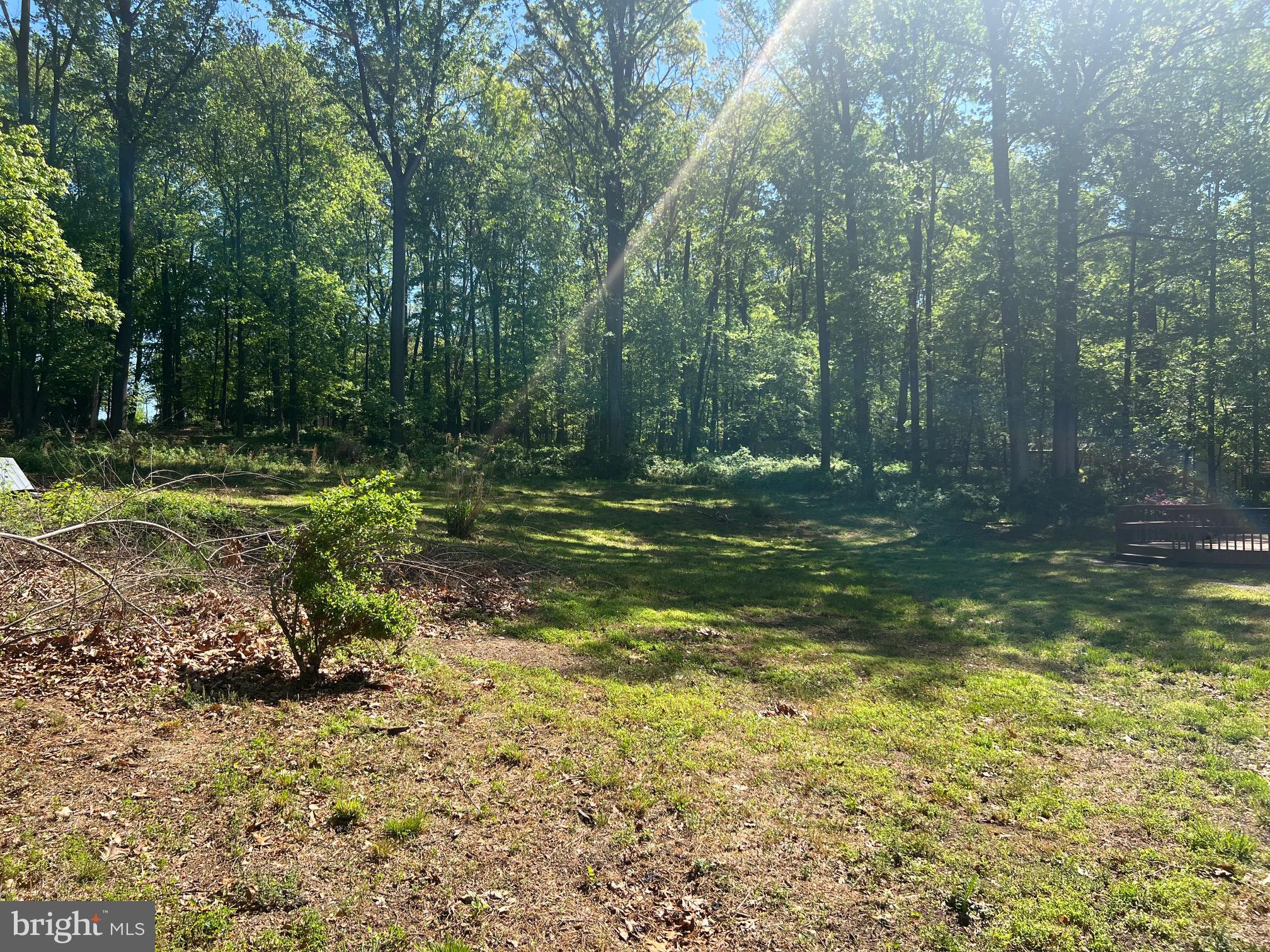 14260 BURNTWOODS ROAD