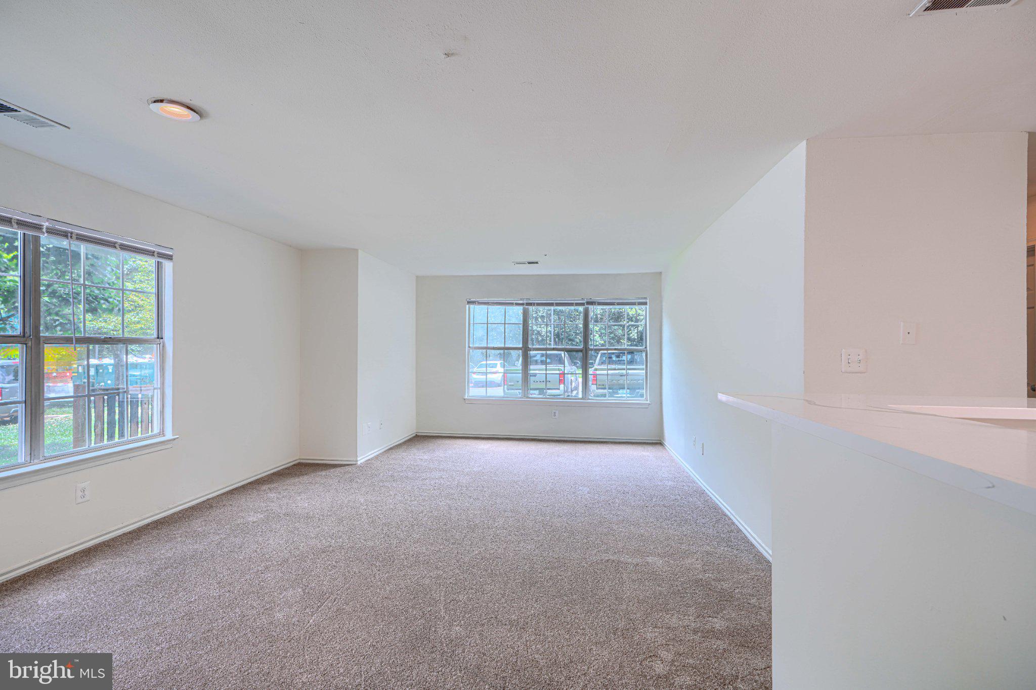 18519 BOYSENBERRY DRIVE 253