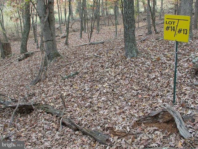 MELISSA ANN'S CHRISTMAS TREE MOUNTAIN - Land
