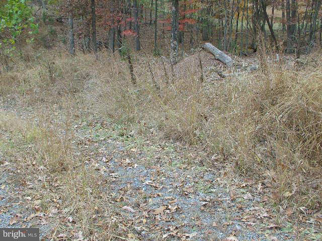 MELISSA ANN'S CHRISTMAS TREE MOUNTAIN - Land