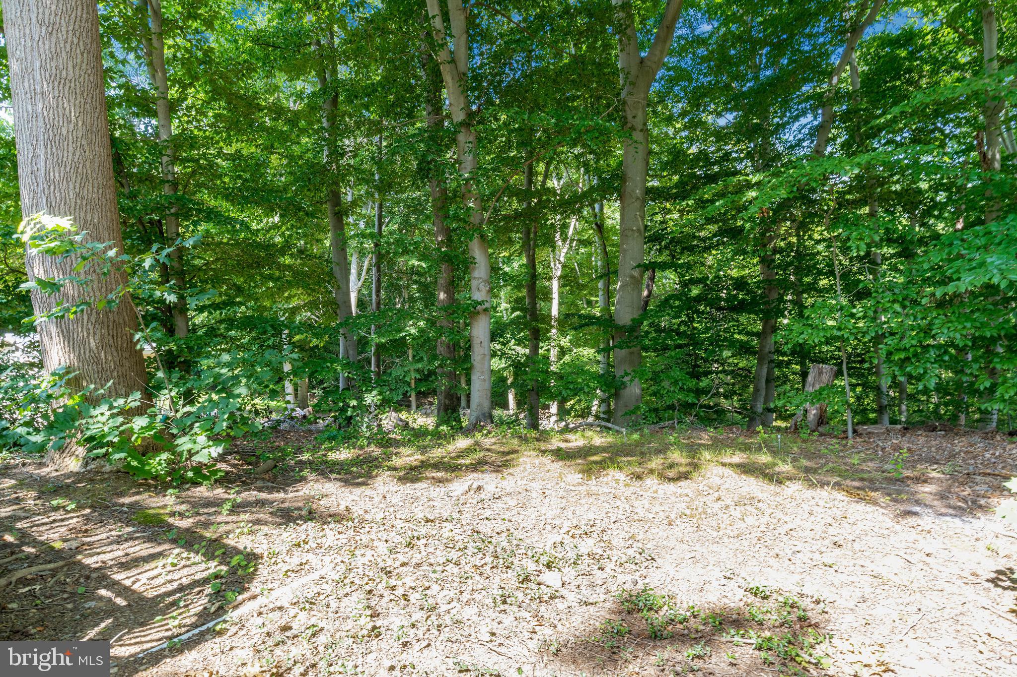 MONTPELIER WOODS - Residential Lease