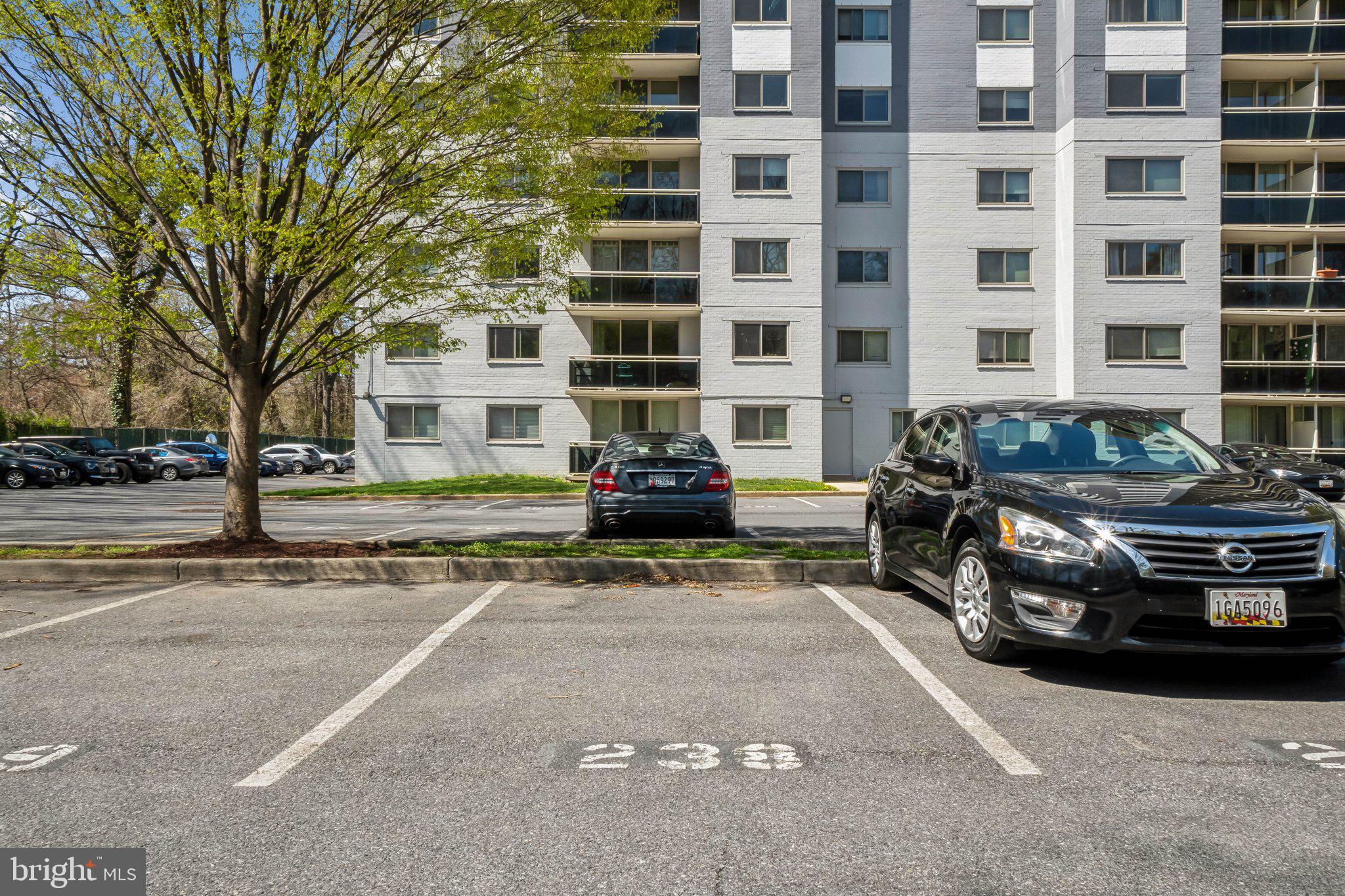 TAKOMA PARK - Residential