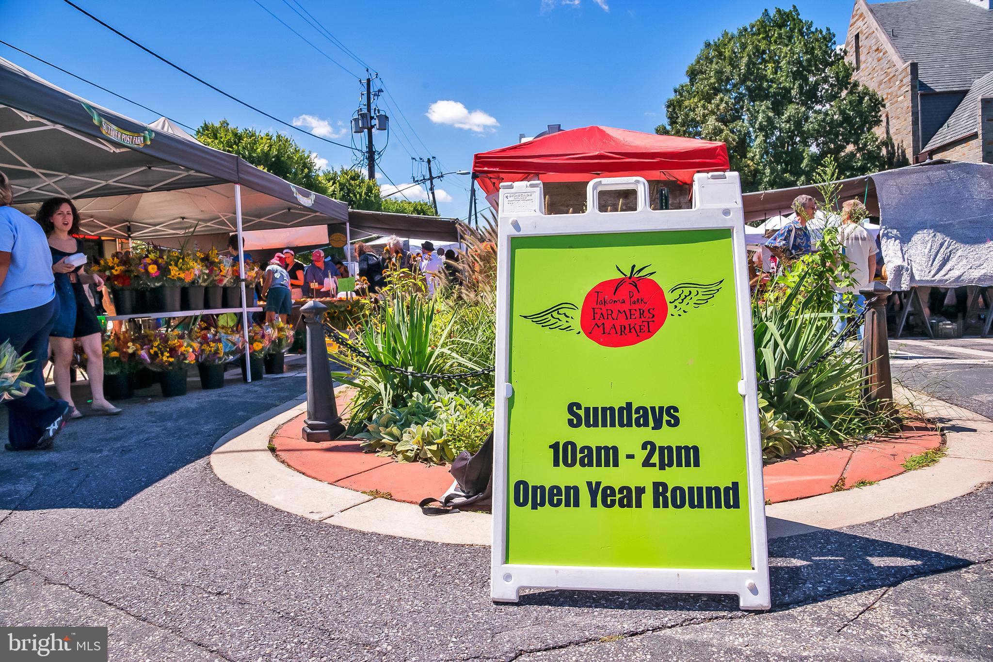 ROLLING TERRACE - Residential