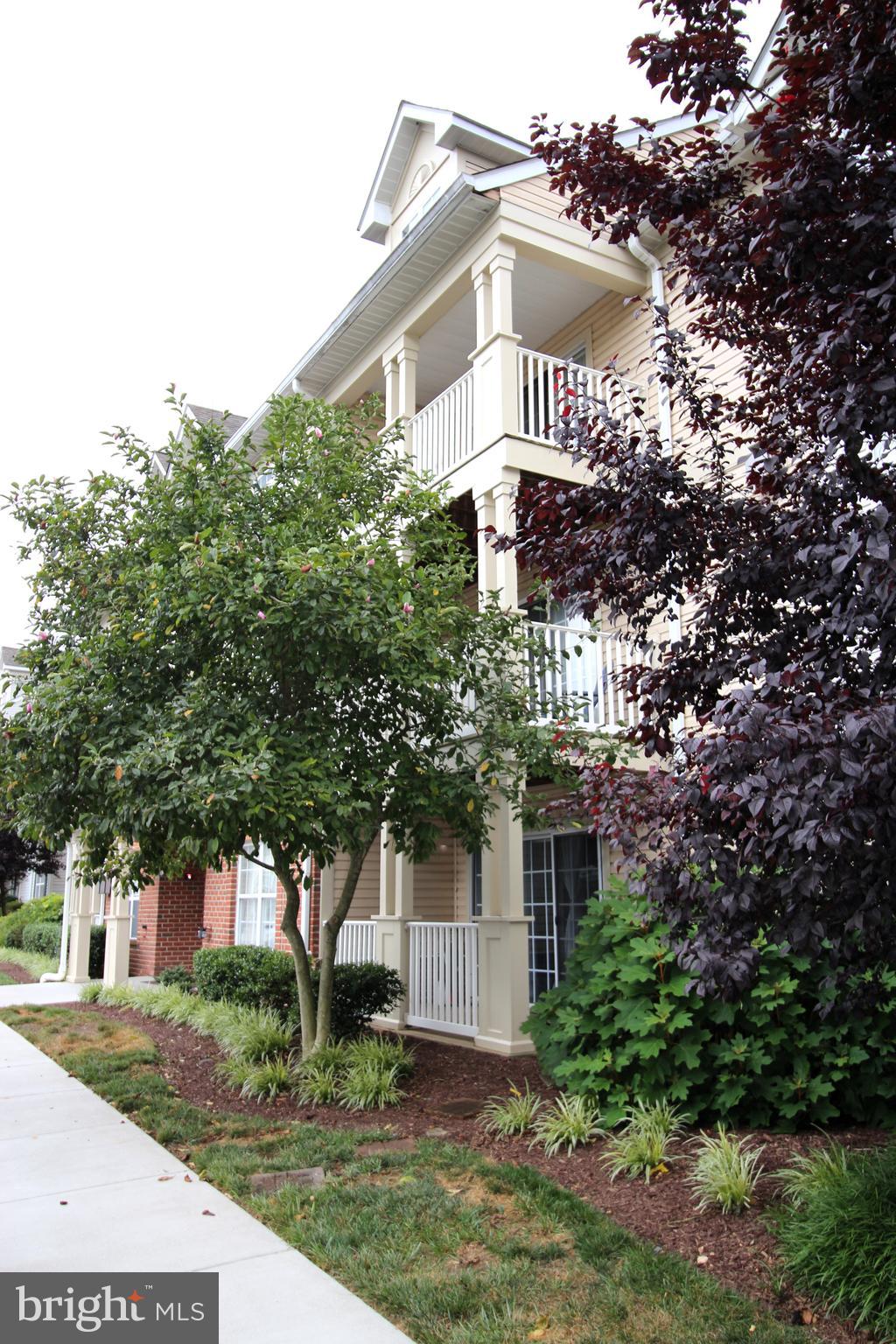 6343 SPRINGWATER TERRACE 1033