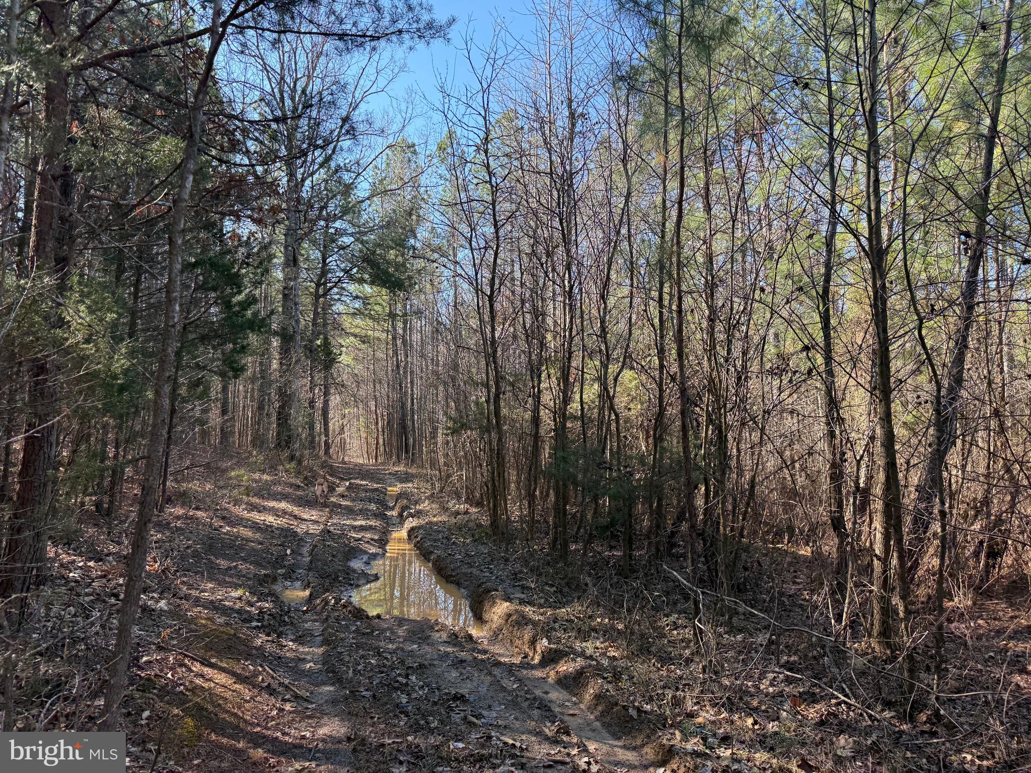 1 MAPLE BRIDGE RD