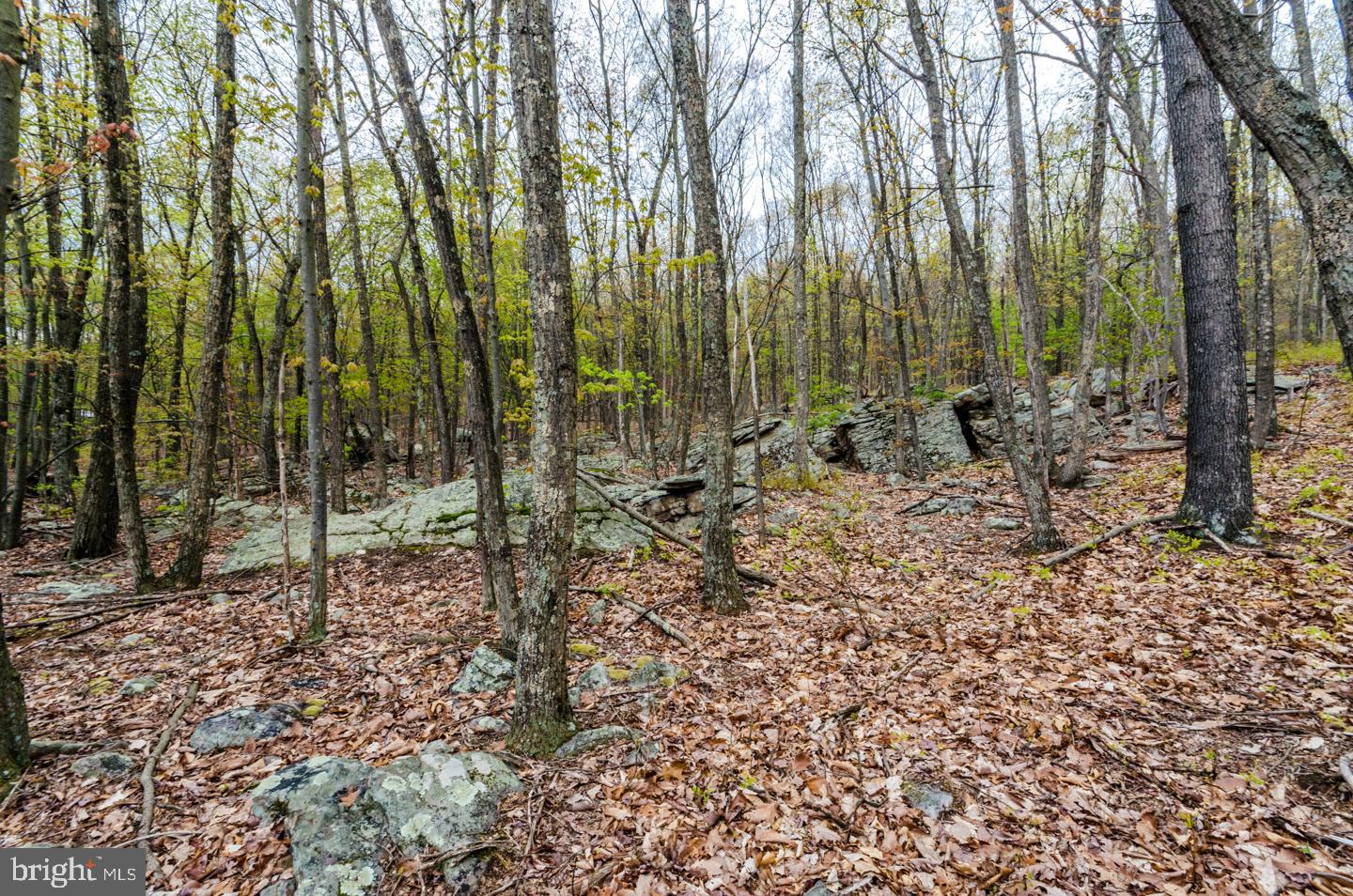 VALLEY HIGH TIMBER FARMS - Residential