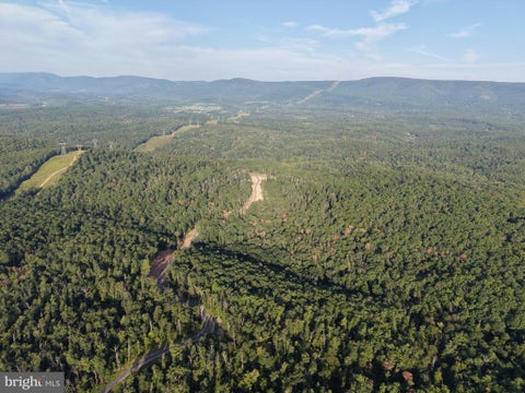 Photo for 310.87+/- ACRES OFF LAUREL GROVE ROAD