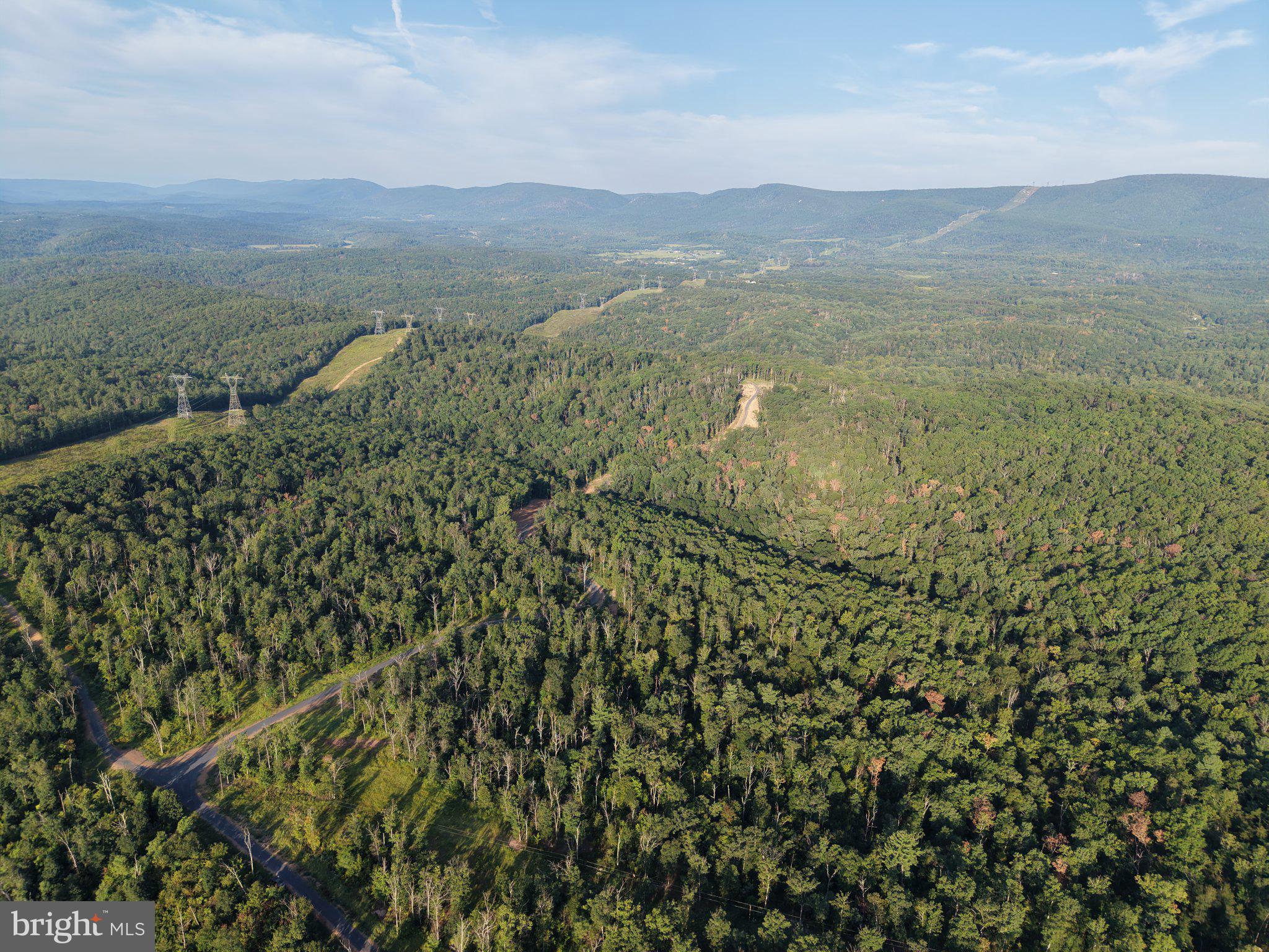 310.87+/- ACRES OFF LAUREL GROVE ROAD