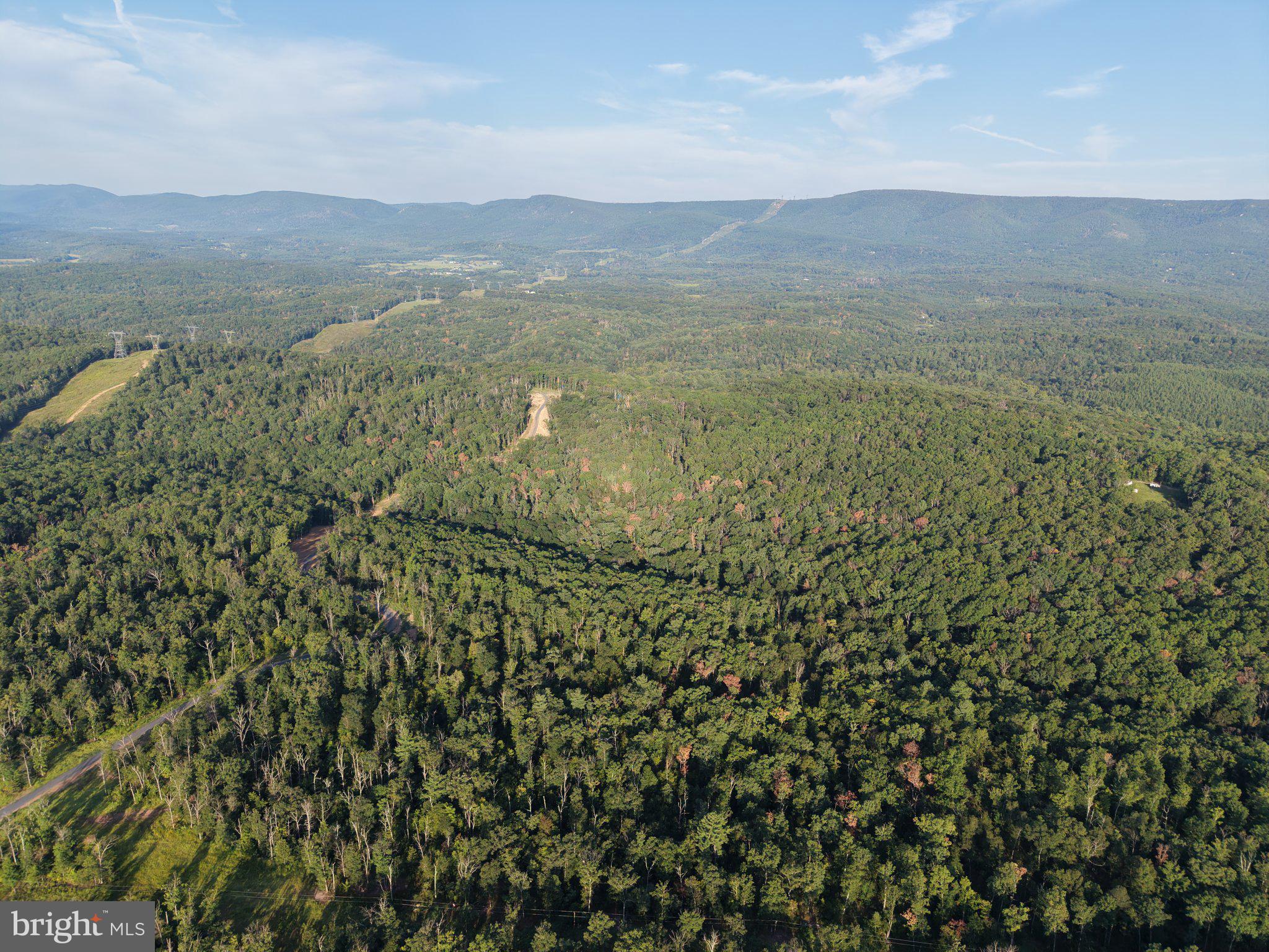 310.87+/- ACRES OFF LAUREL GROVE ROAD