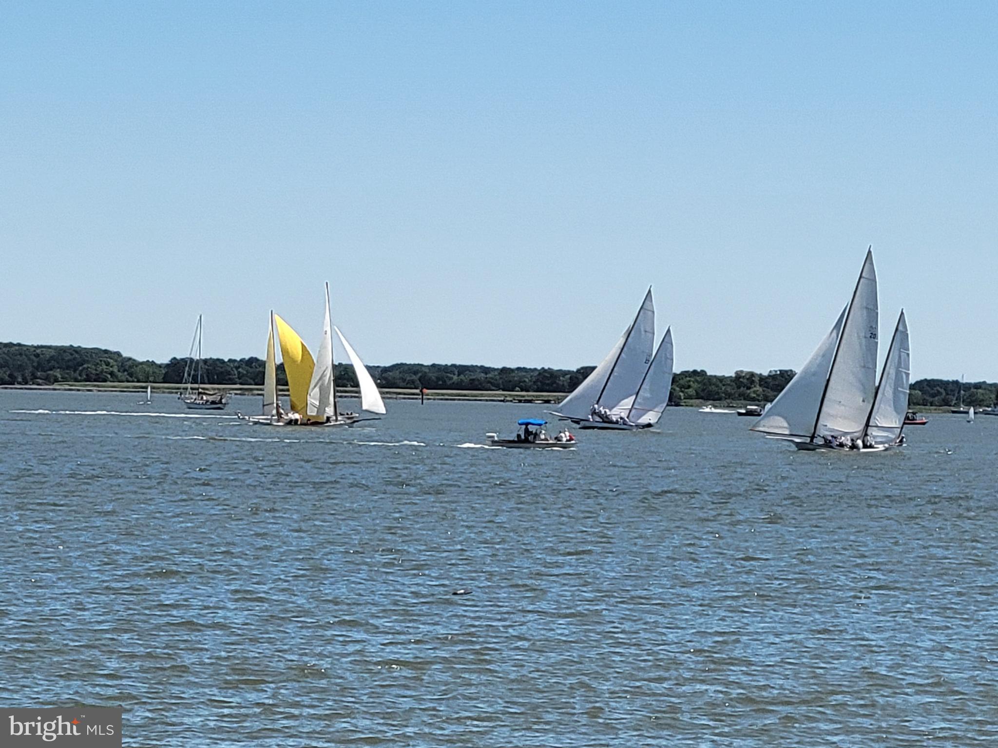 BELLEVUE - Residential