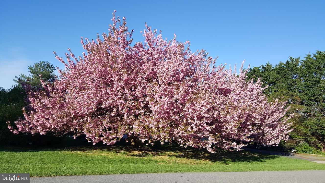 GAMBRILL SOUTH - Residential