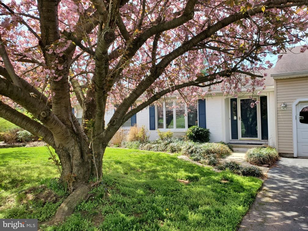 GAMBRILL SOUTH - Residential