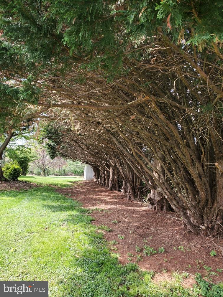 GAMBRILL SOUTH - Residential