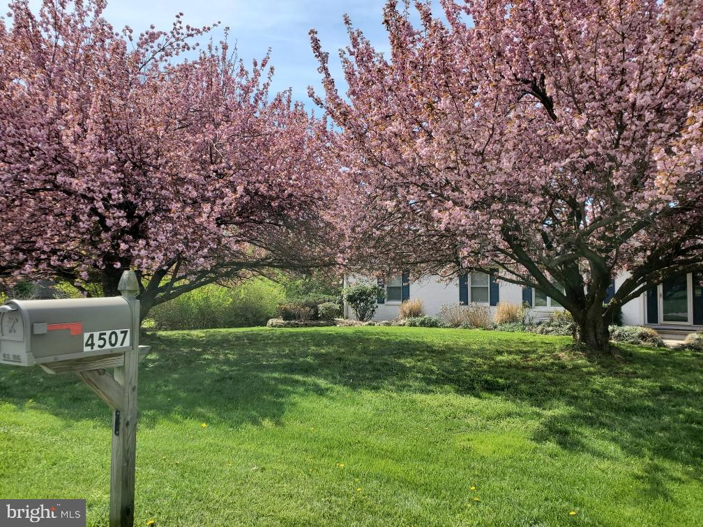 GAMBRILL SOUTH - Residential