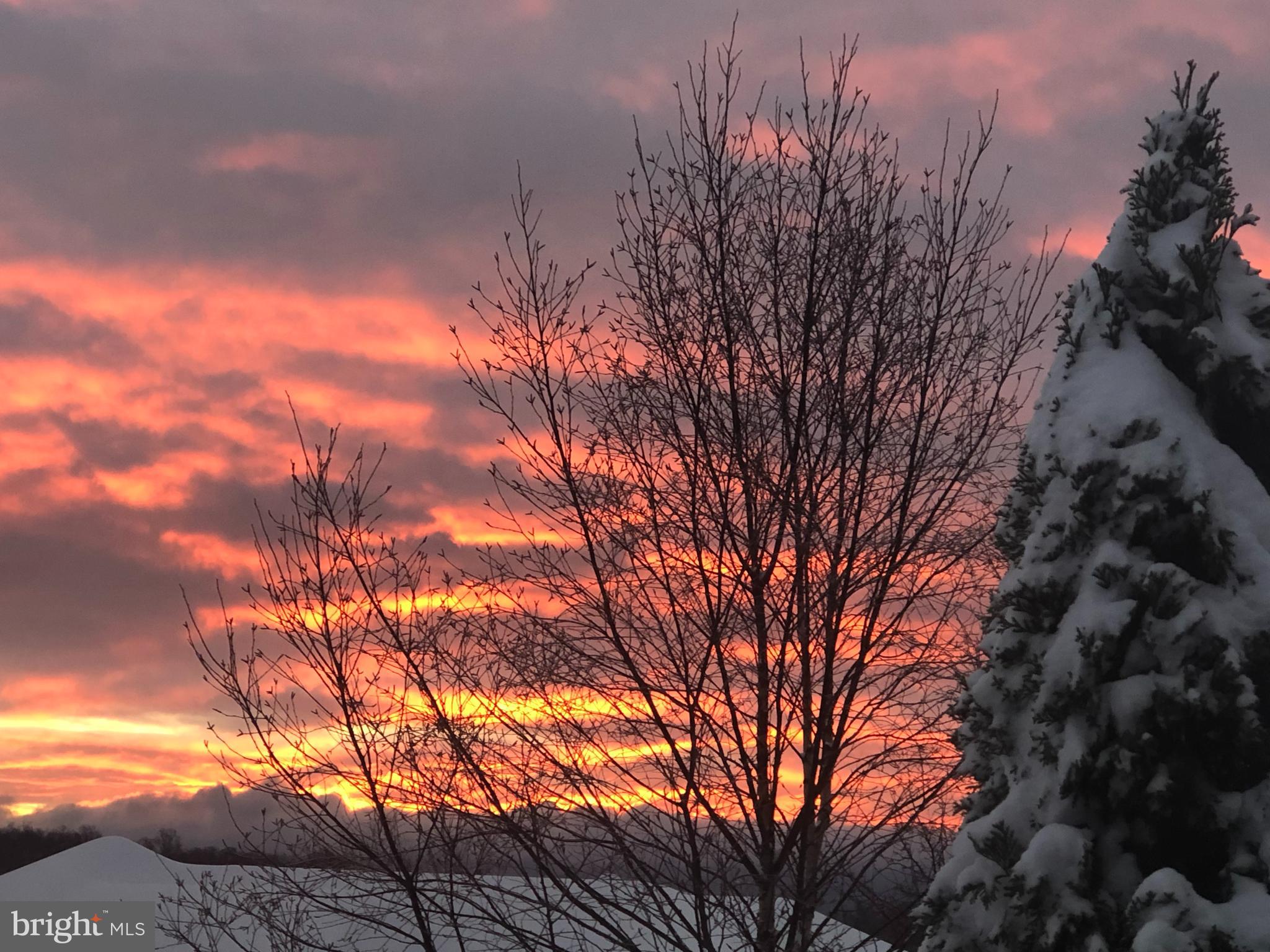 LOCUST HILL - Residential