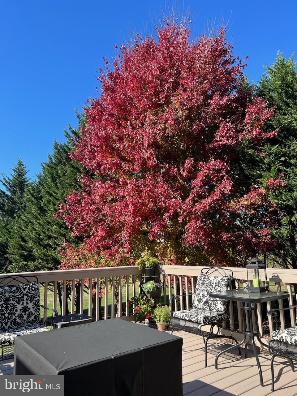 LOCUST HILL - Residential