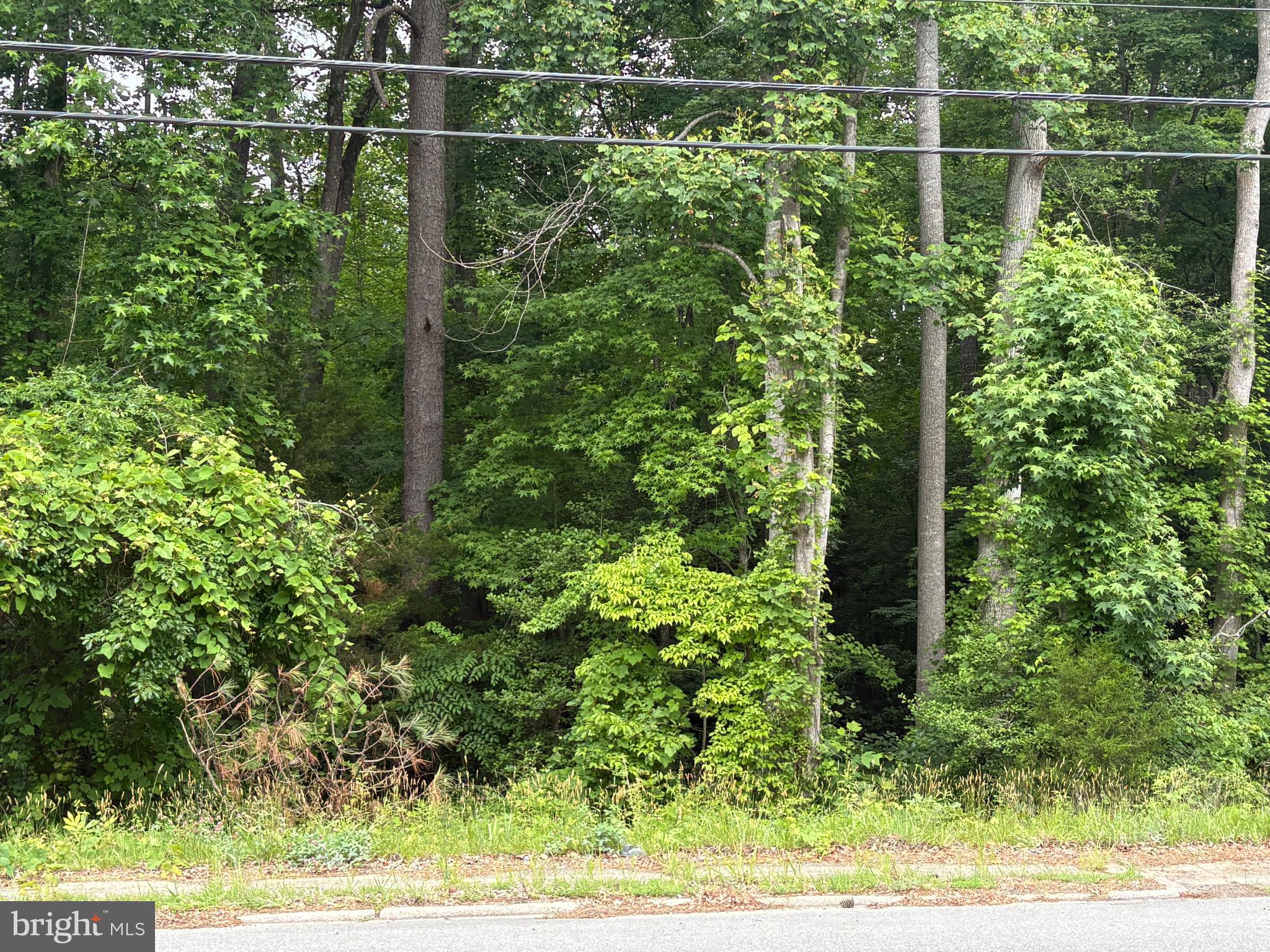 0 JESSIE DUPONT MEMORIAL HWY