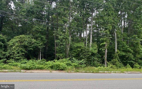 Vacant Land For Sale - Jessie Dupont Memorial Hwy<br/> HEATHSVILLE, VA 22473