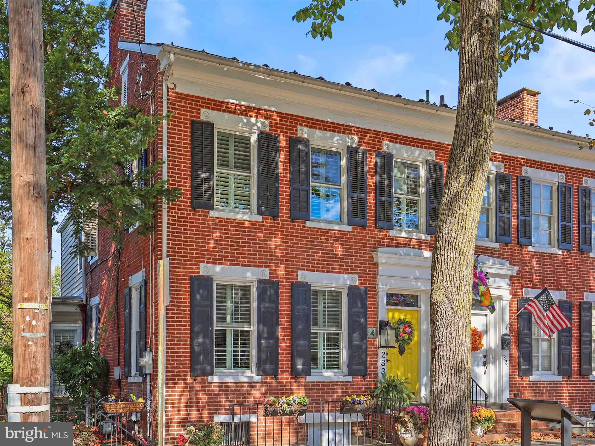 233 FREDERICK STREET