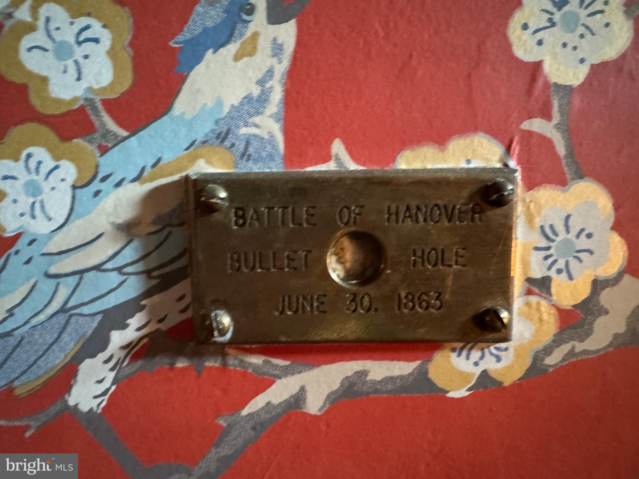 233 FREDERICK STREET