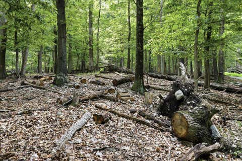 Vacant Land For Sale - Highview Road<br/> HARPERS FERRY, WV 25425