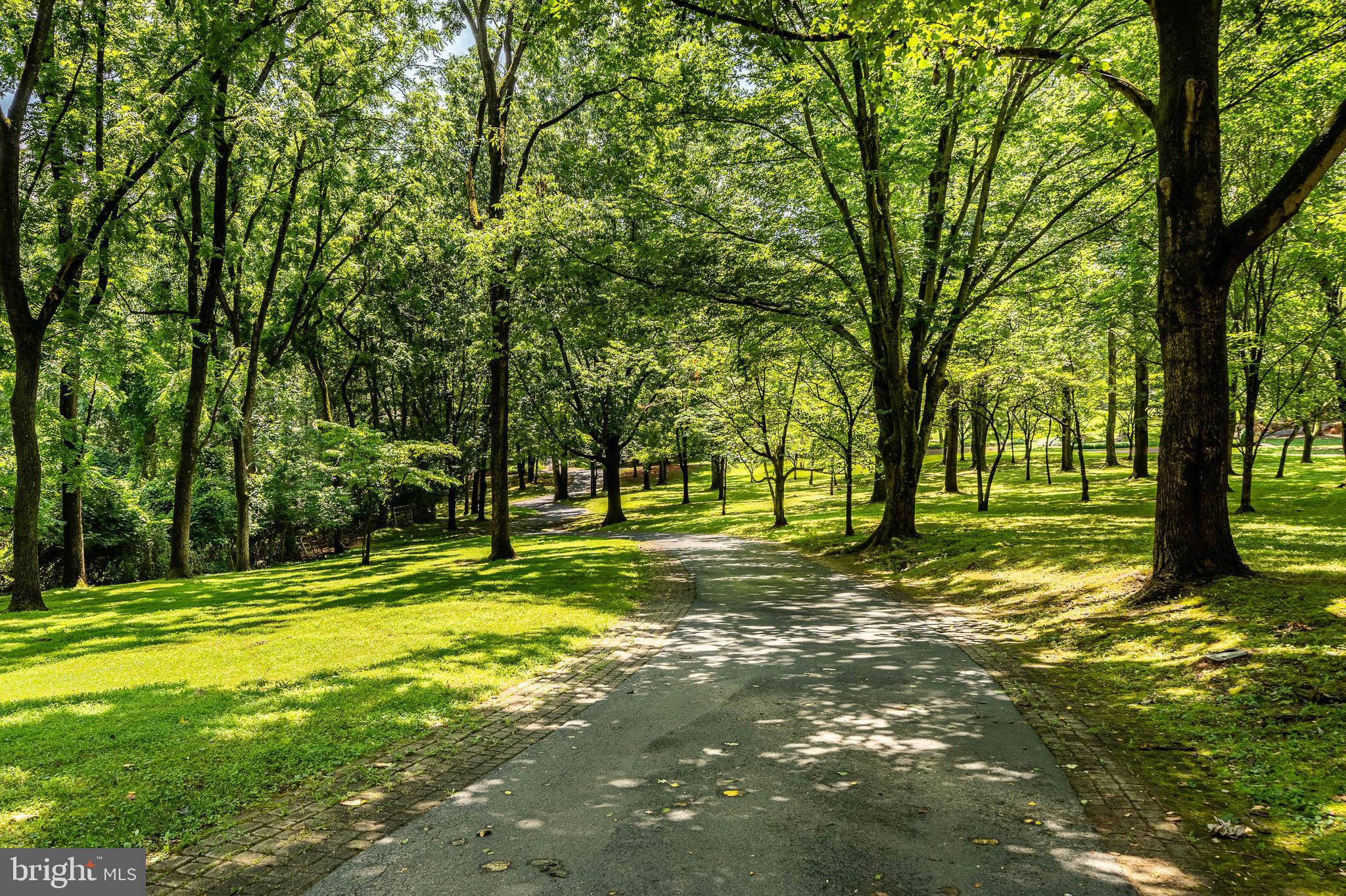 BITTERSWEET - Residential