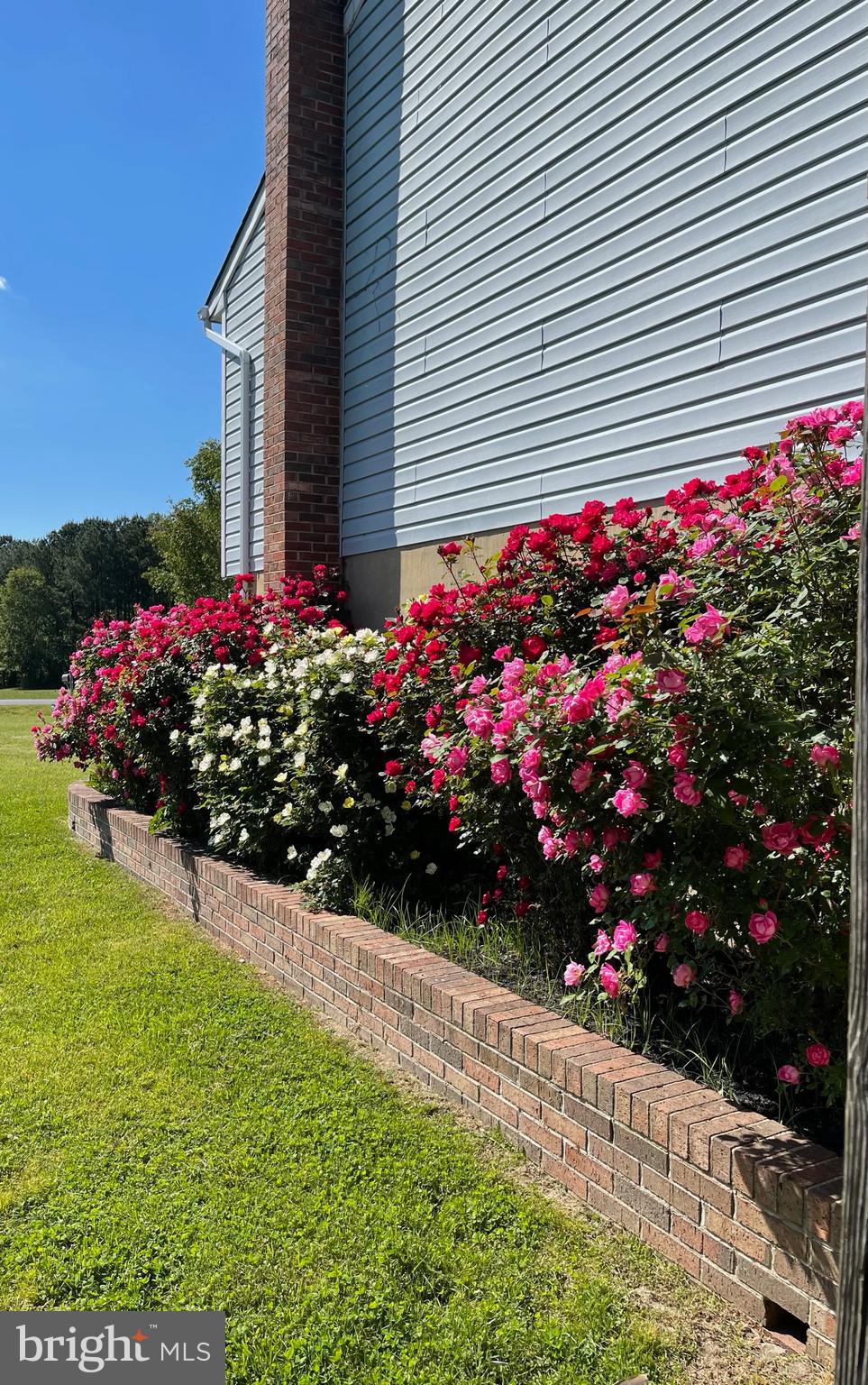 AMANDIANA ESTATES - Residential