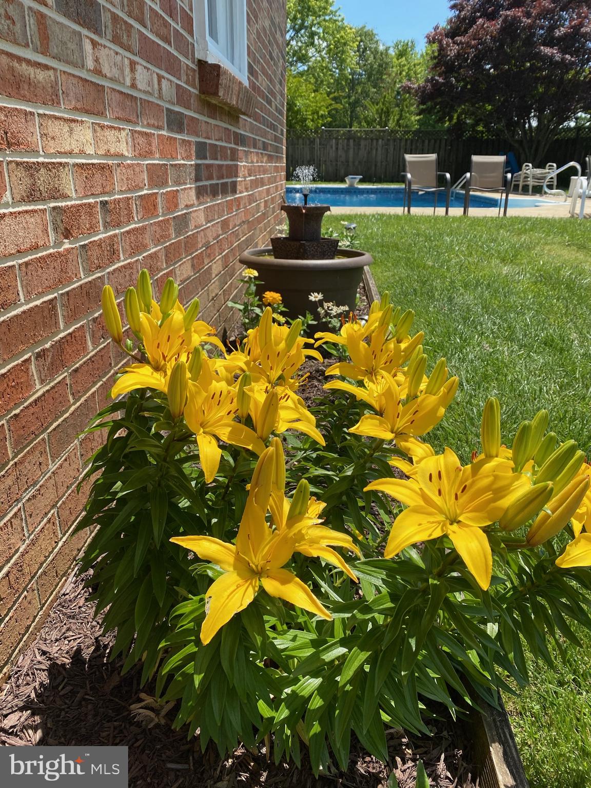 AMANDIANA ESTATES - Residential