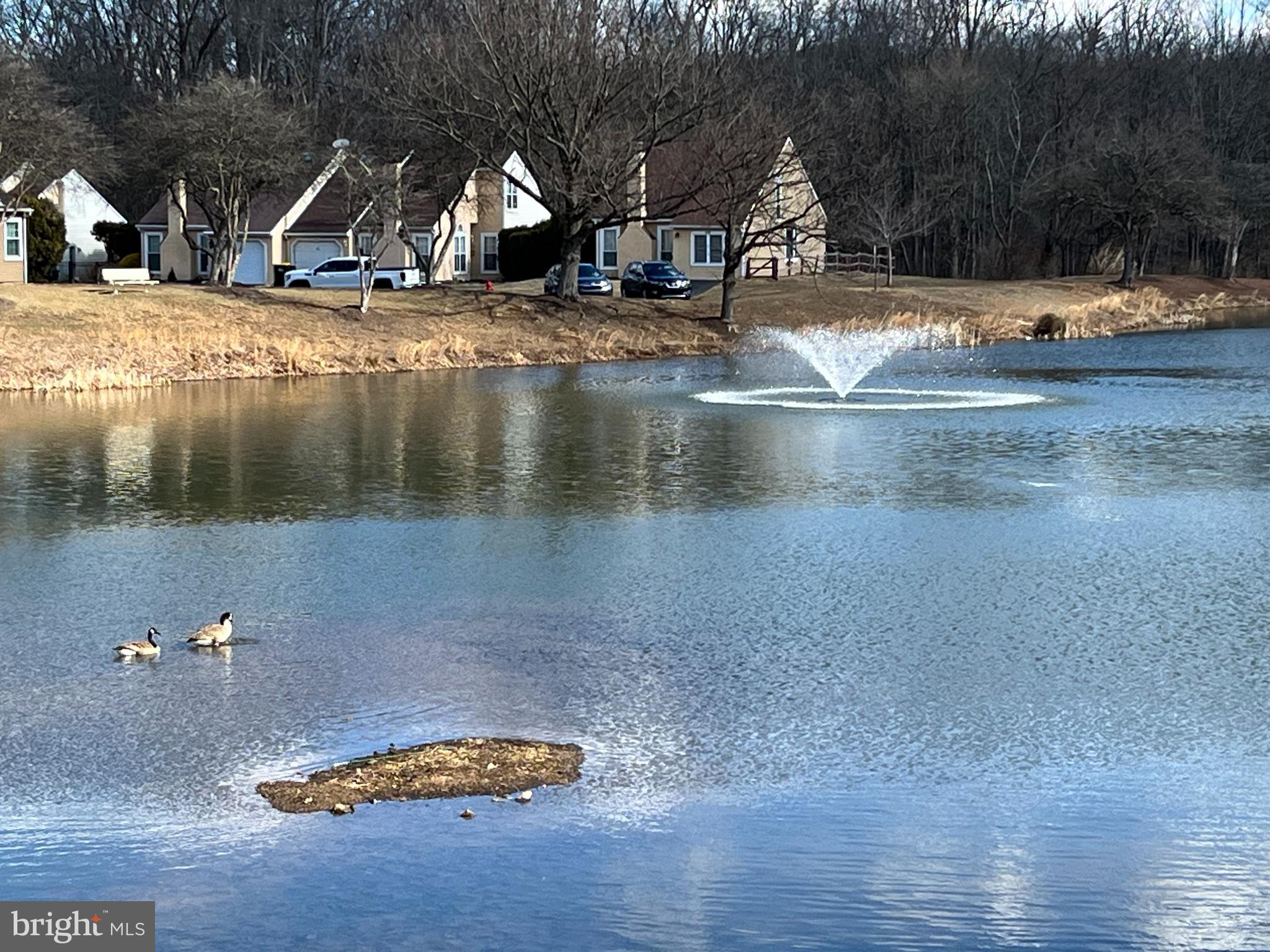 TAMERLANE - Residential