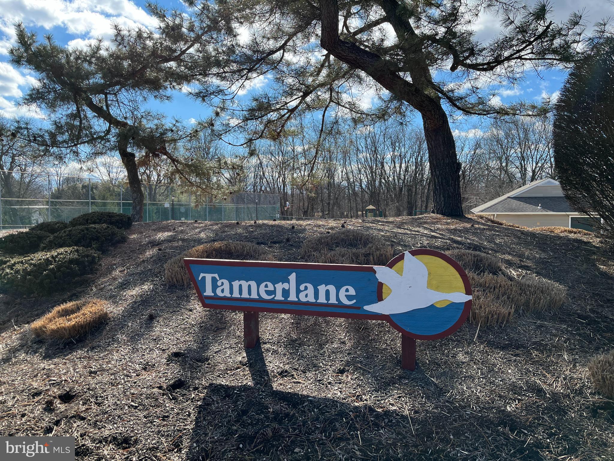 TAMERLANE - Residential