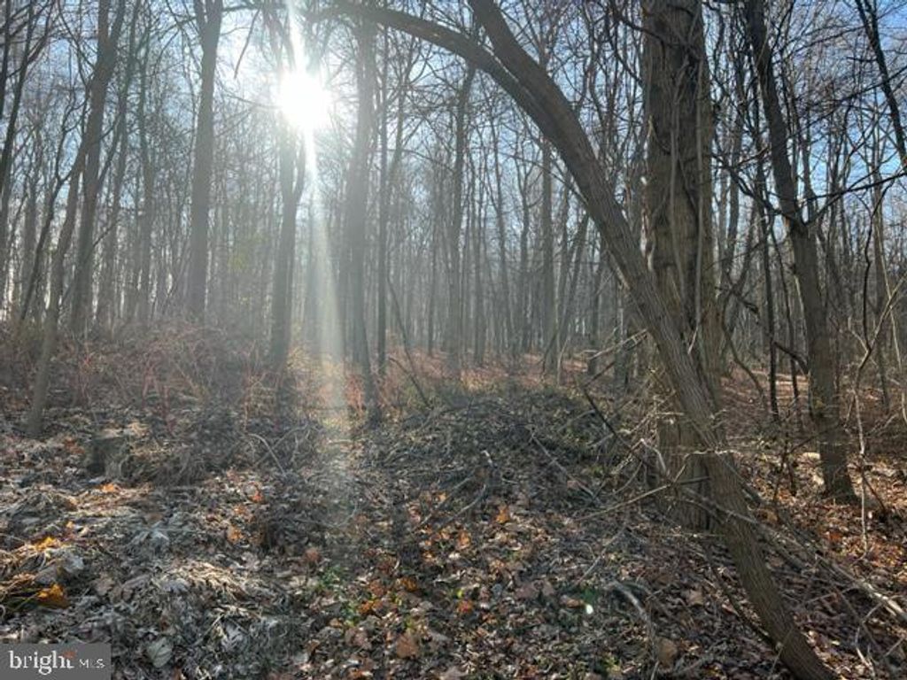 Photo of 0 OLD STRASBURG RD, KINZERS, PA 17535 (MLS # PALA2027524)