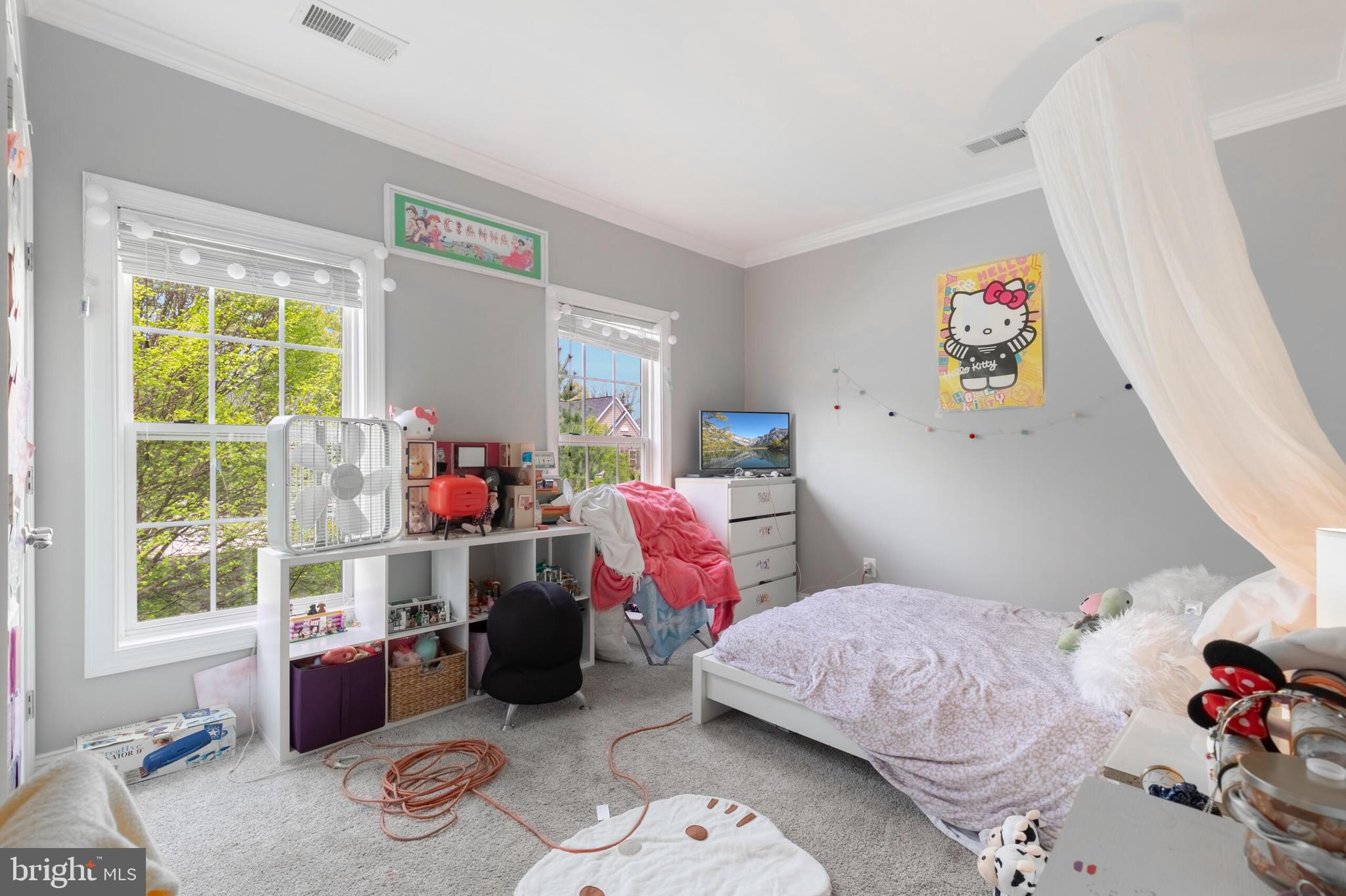 VILLAGES OF PIEDMONT AT LEOPOLD'S PRESERVE - Residential