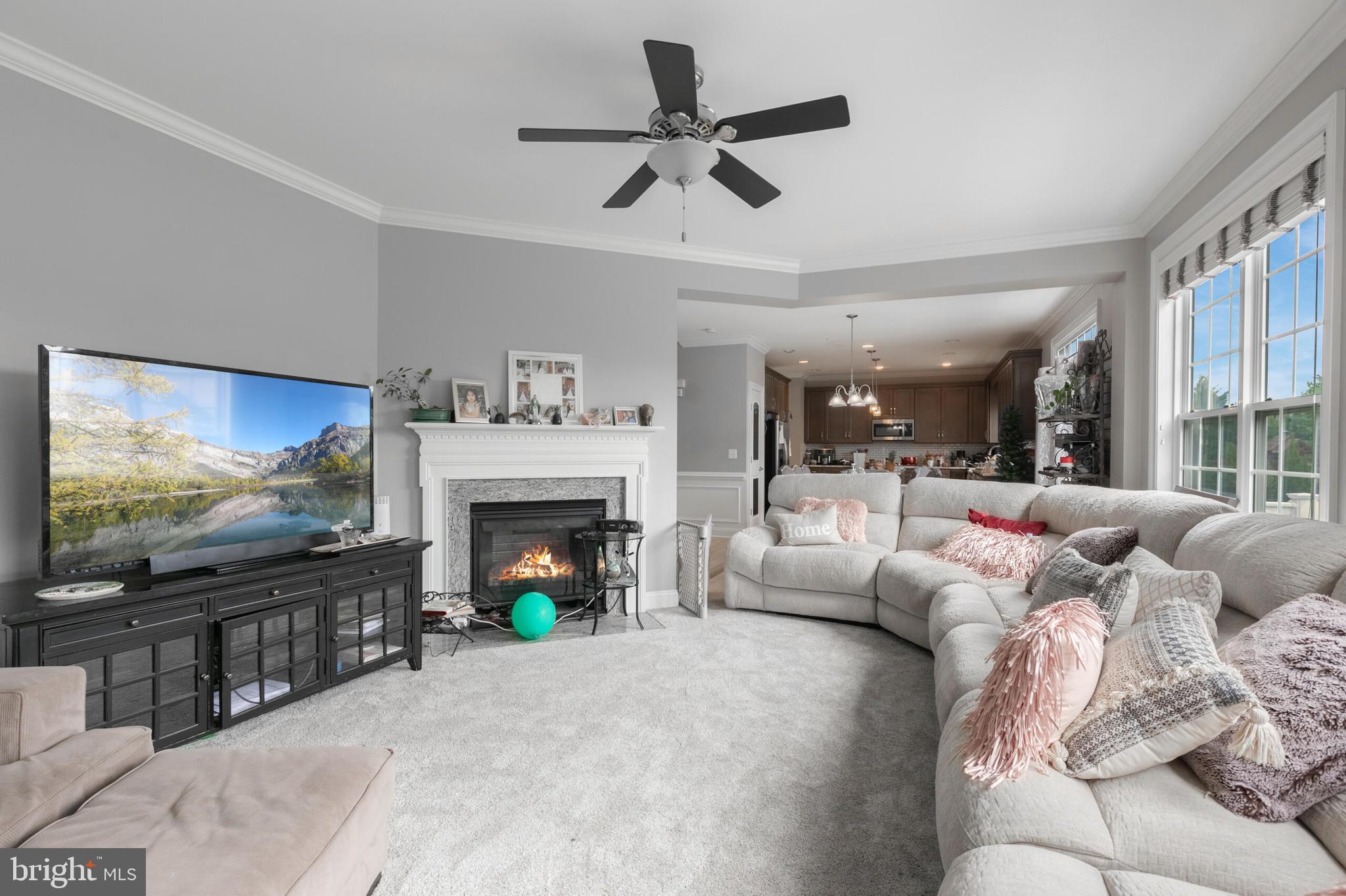 VILLAGES OF PIEDMONT AT LEOPOLD'S PRESERVE - Residential