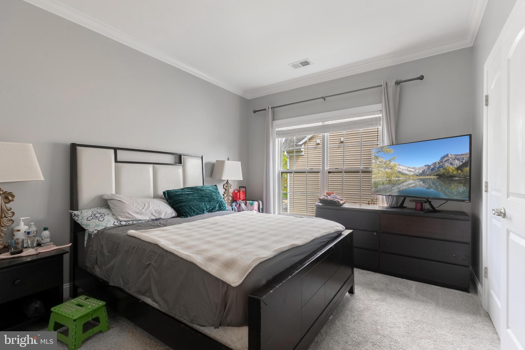 VILLAGES OF PIEDMONT AT LEOPOLD'S PRESERVE - Residential