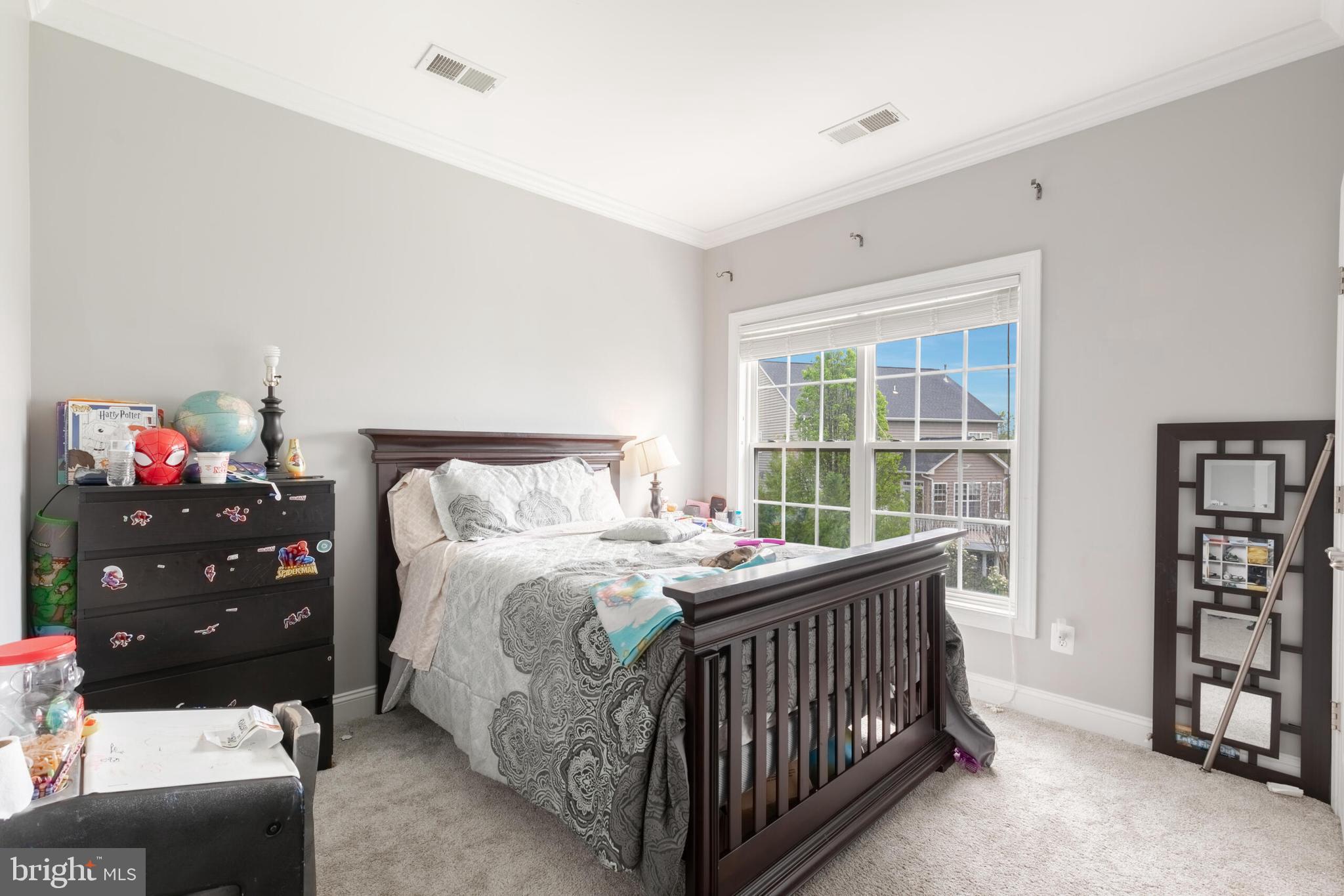 VILLAGES OF PIEDMONT AT LEOPOLD'S PRESERVE - Residential